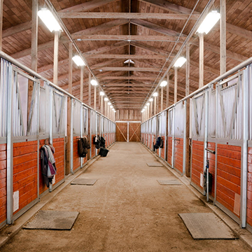 Horse farm